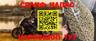 шишки Кинель
