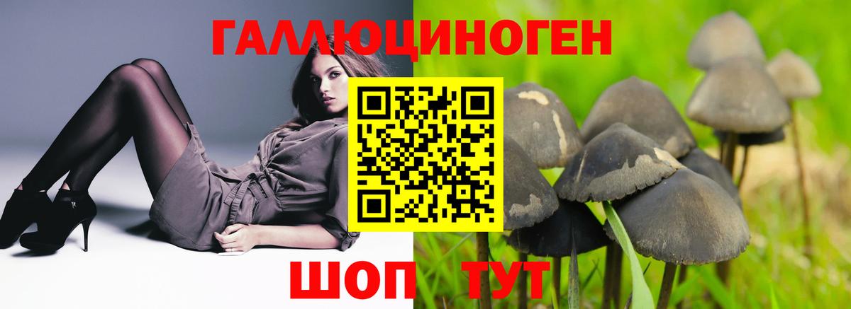 Котлас  Псилоцибиновые грибы Magic Shrooms  Вход с VPN 